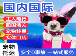 沈阳航空运输国际宠物托运 【国
